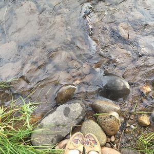 Meet your Posher, Sjoh